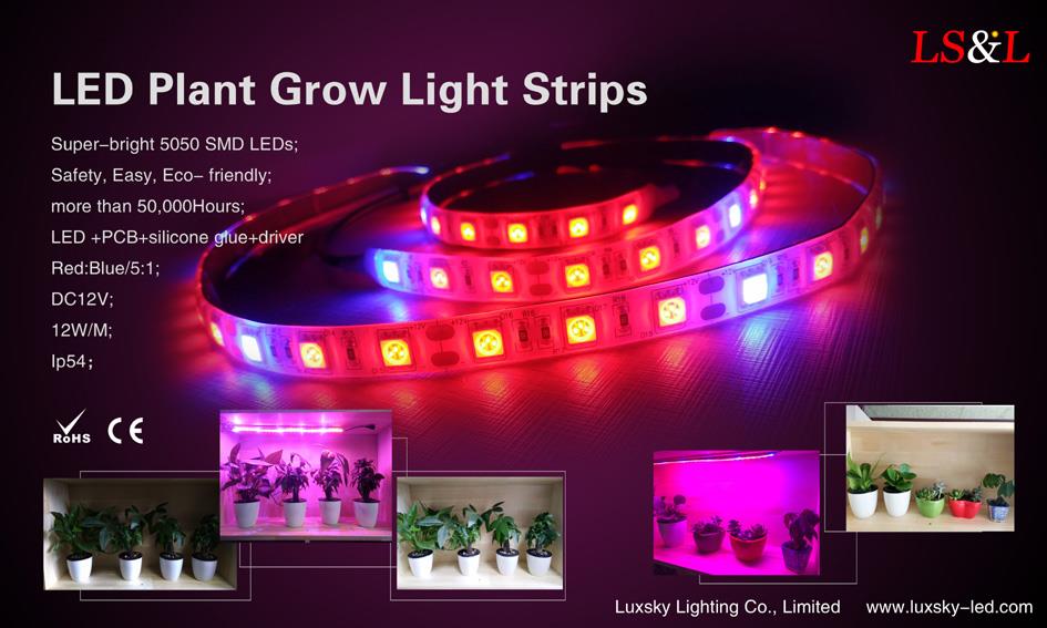 led grow plant lights.jpg